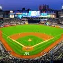 New York Yankees