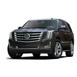 Transfers a Nueva York